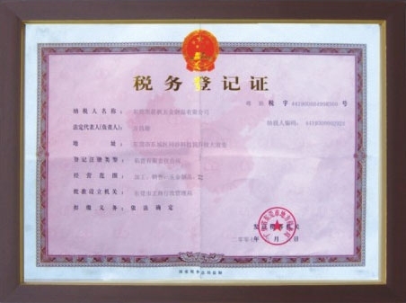 04年-税务登记证